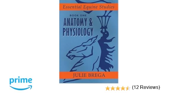 Injury Disease and Equine Nursing Injury Disease Equine Nursing Essential Equine Studies Bk 3